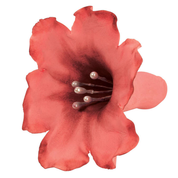 Red Fondant Flower