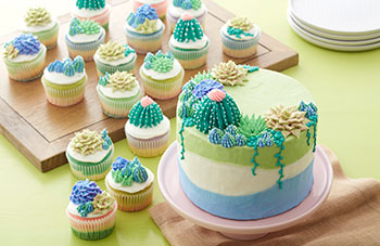 Succulent-topped cake and cupcakes
